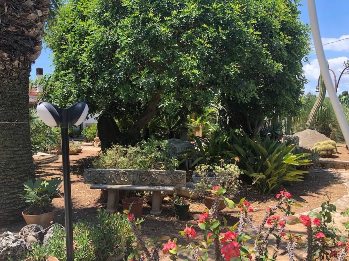 Villa Yucca 阿沃拉 外观 照片