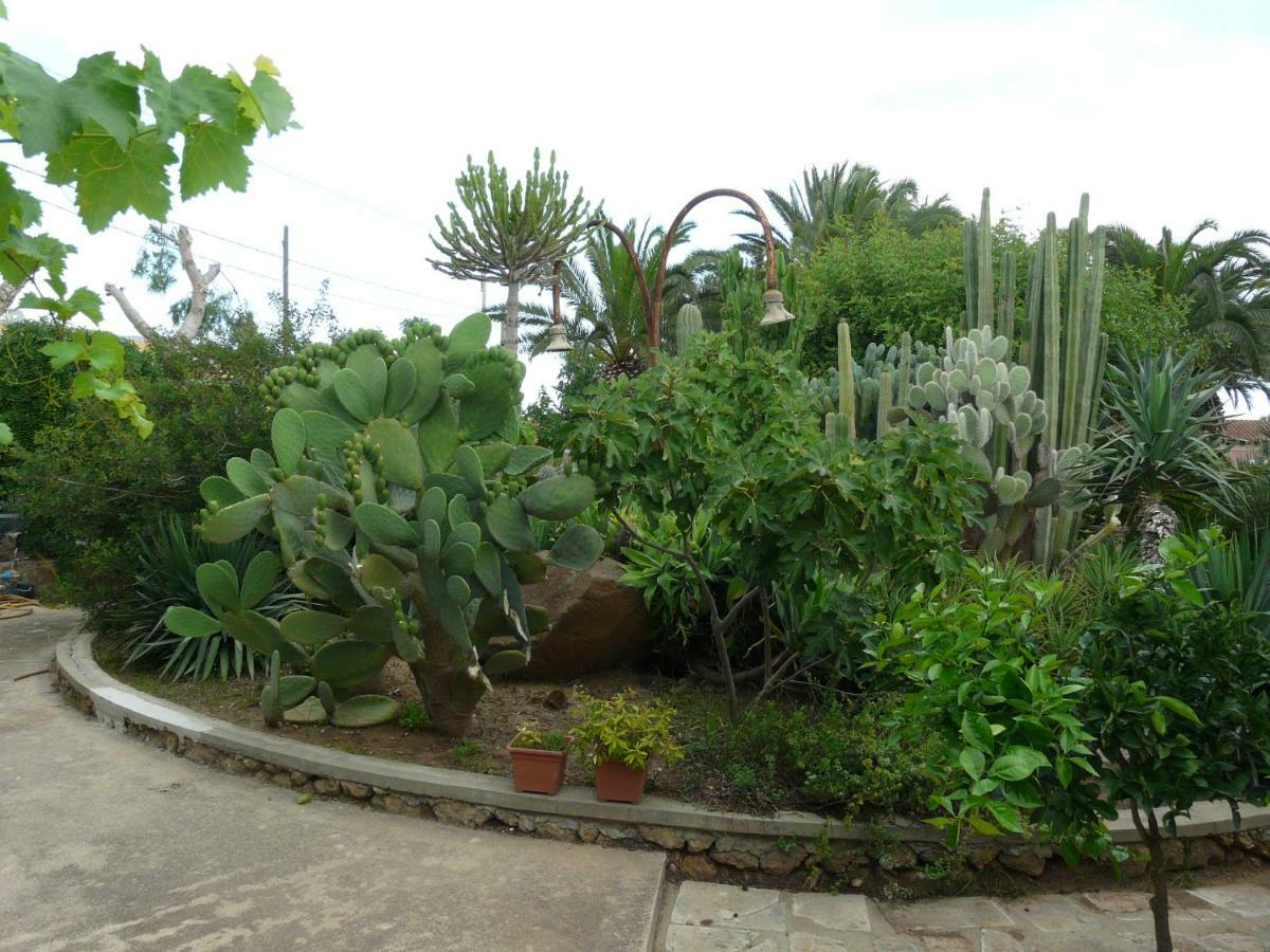 Villa Yucca 阿沃拉 外观 照片