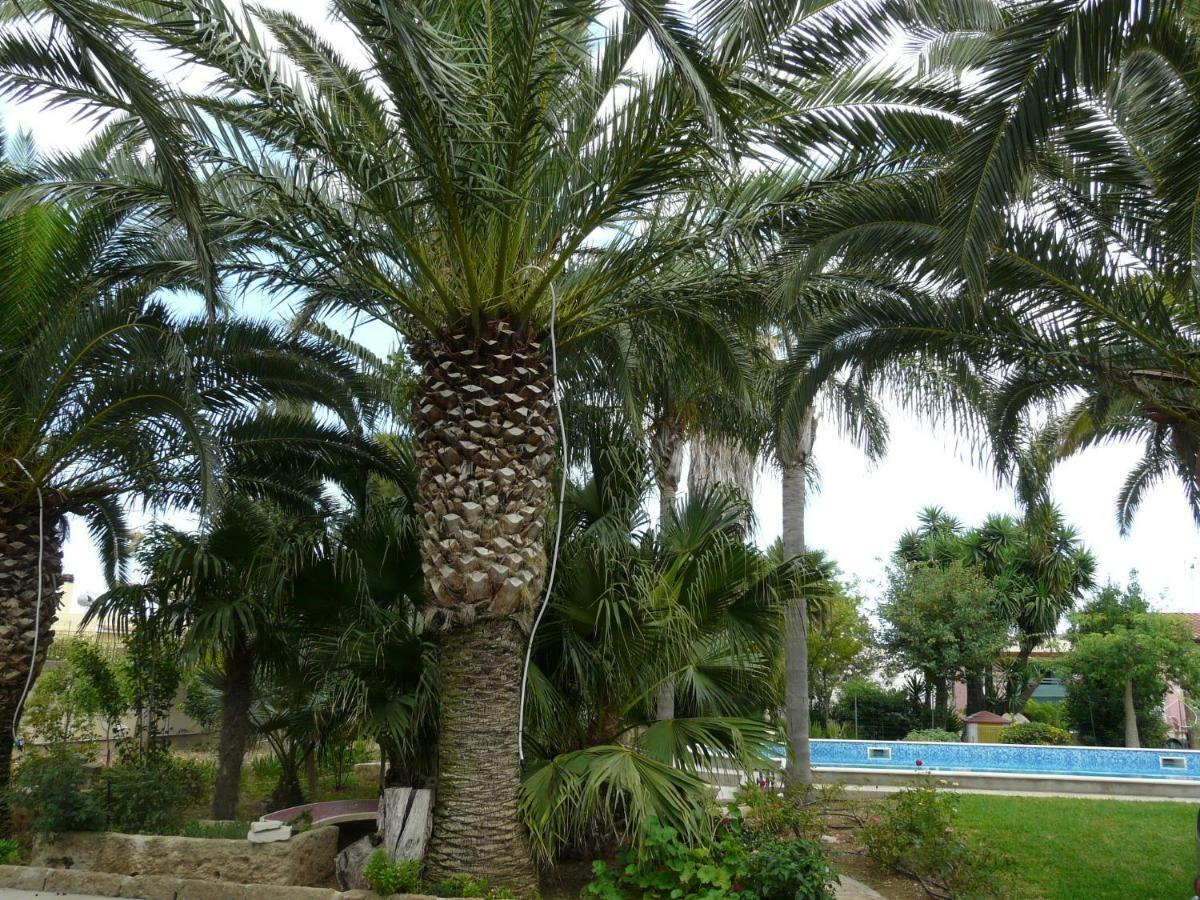 Villa Yucca 阿沃拉 外观 照片