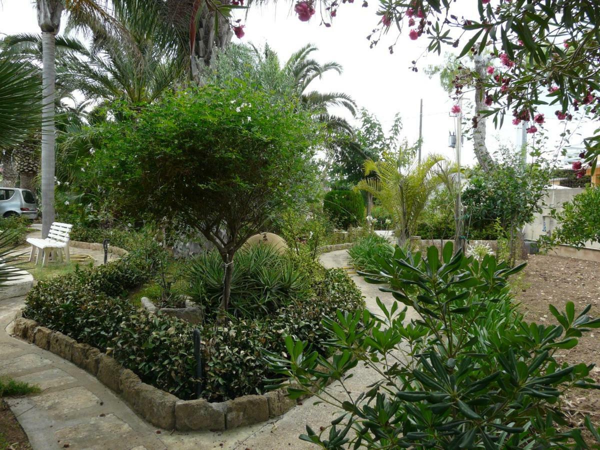 Villa Yucca 阿沃拉 外观 照片