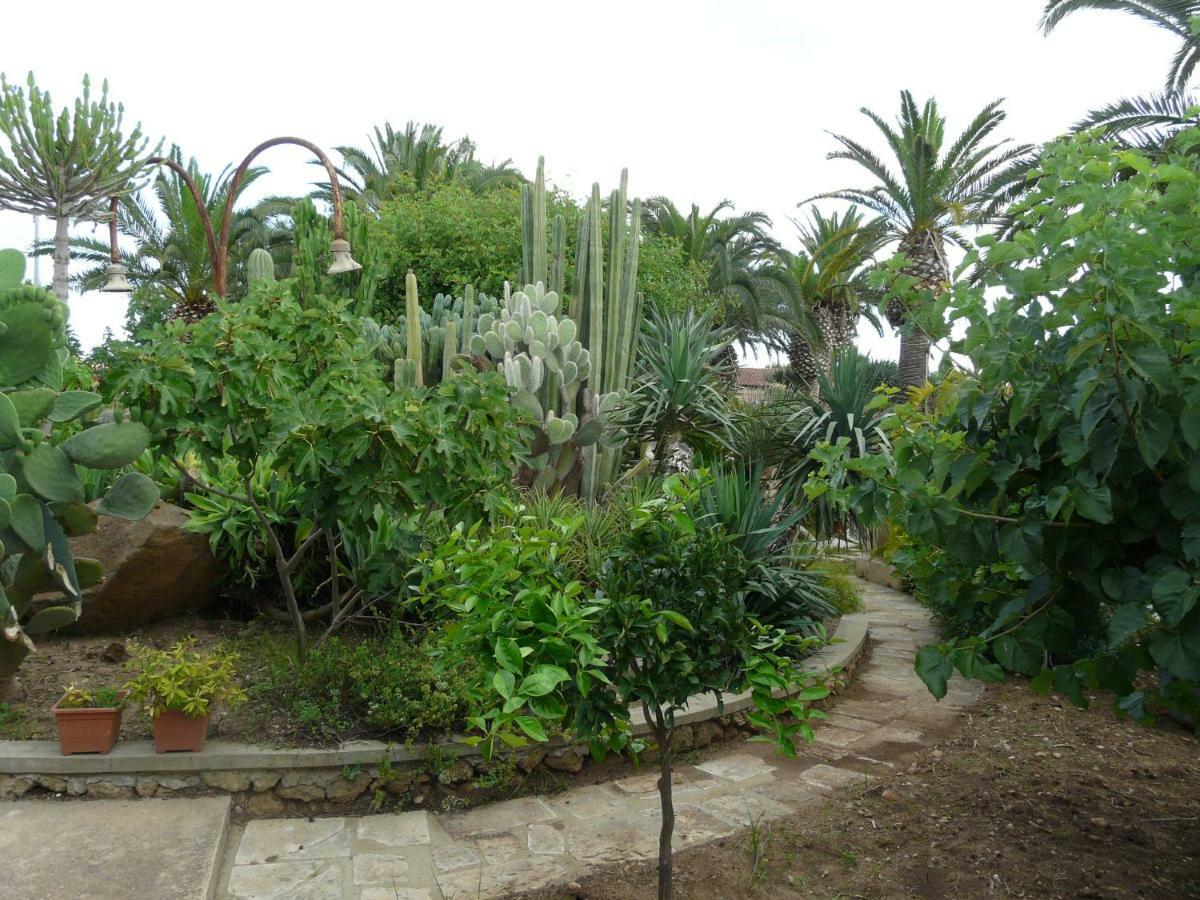Villa Yucca 阿沃拉 外观 照片