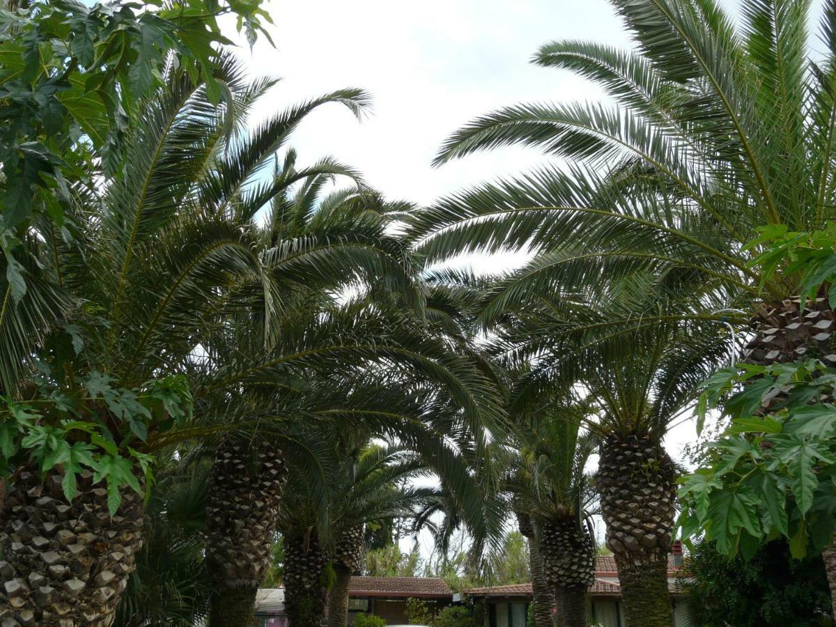 Villa Yucca 阿沃拉 外观 照片