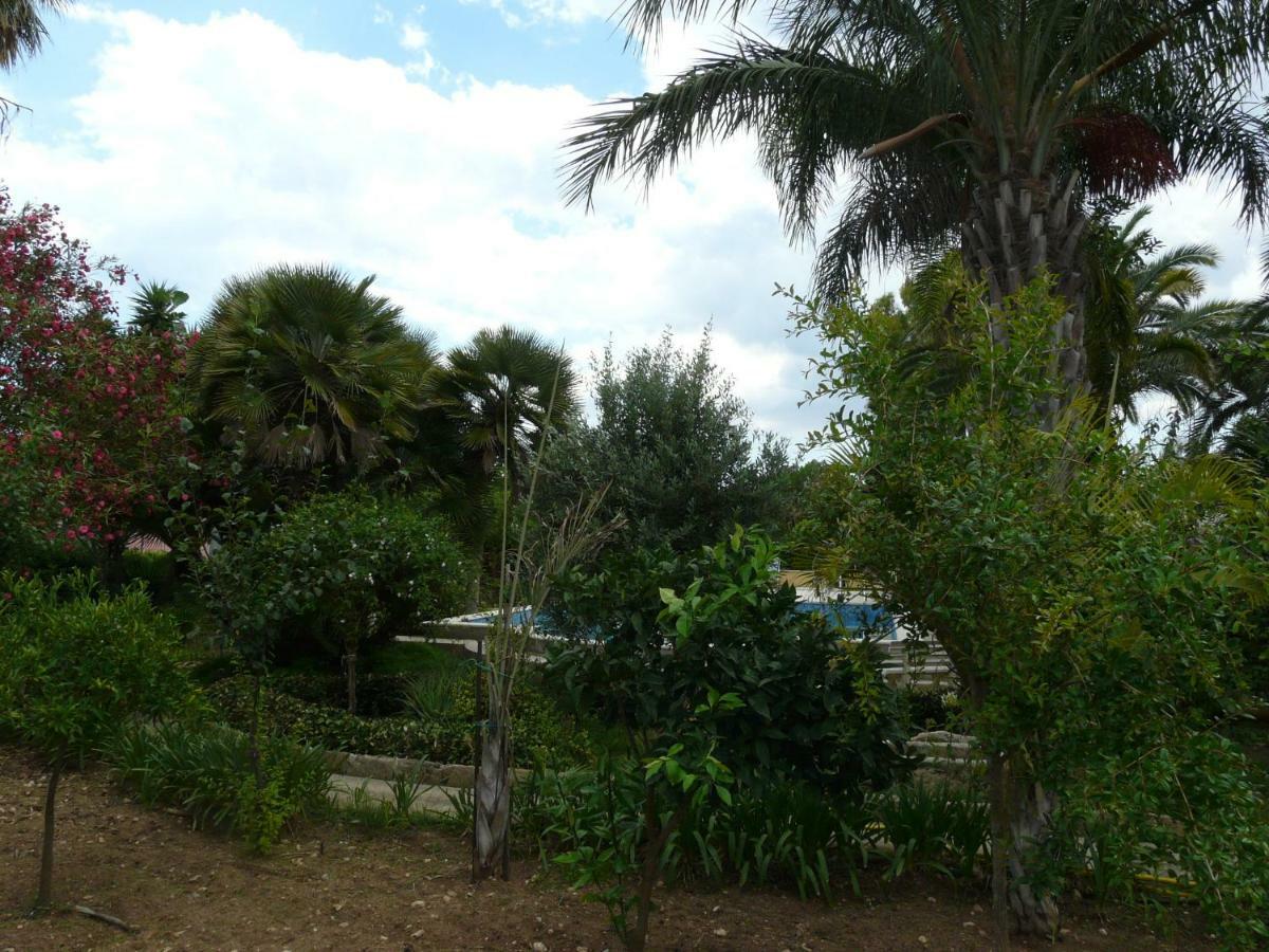 Villa Yucca 阿沃拉 外观 照片