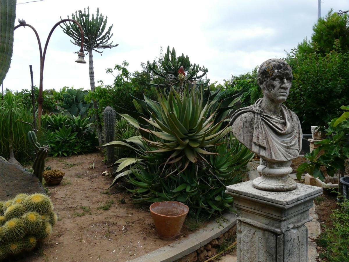 Villa Yucca 阿沃拉 外观 照片