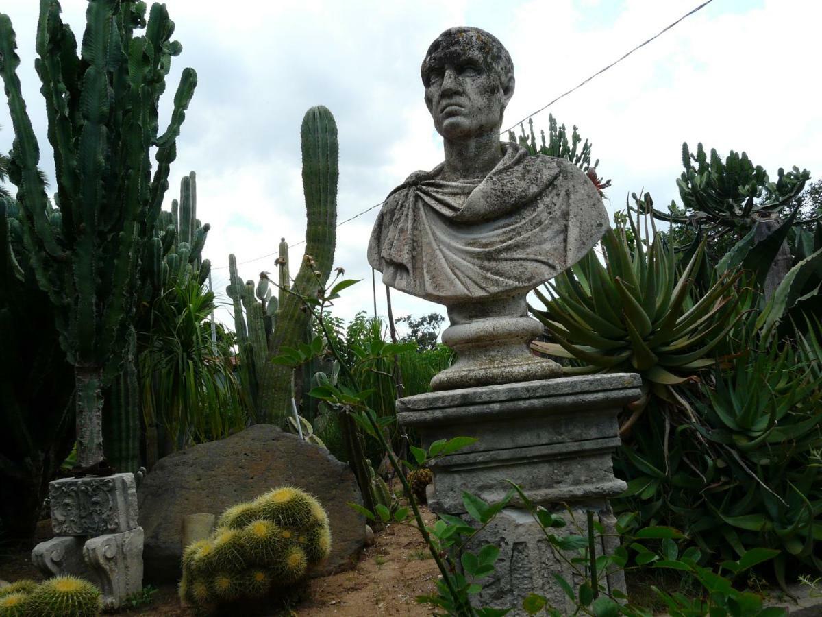 Villa Yucca 阿沃拉 外观 照片
