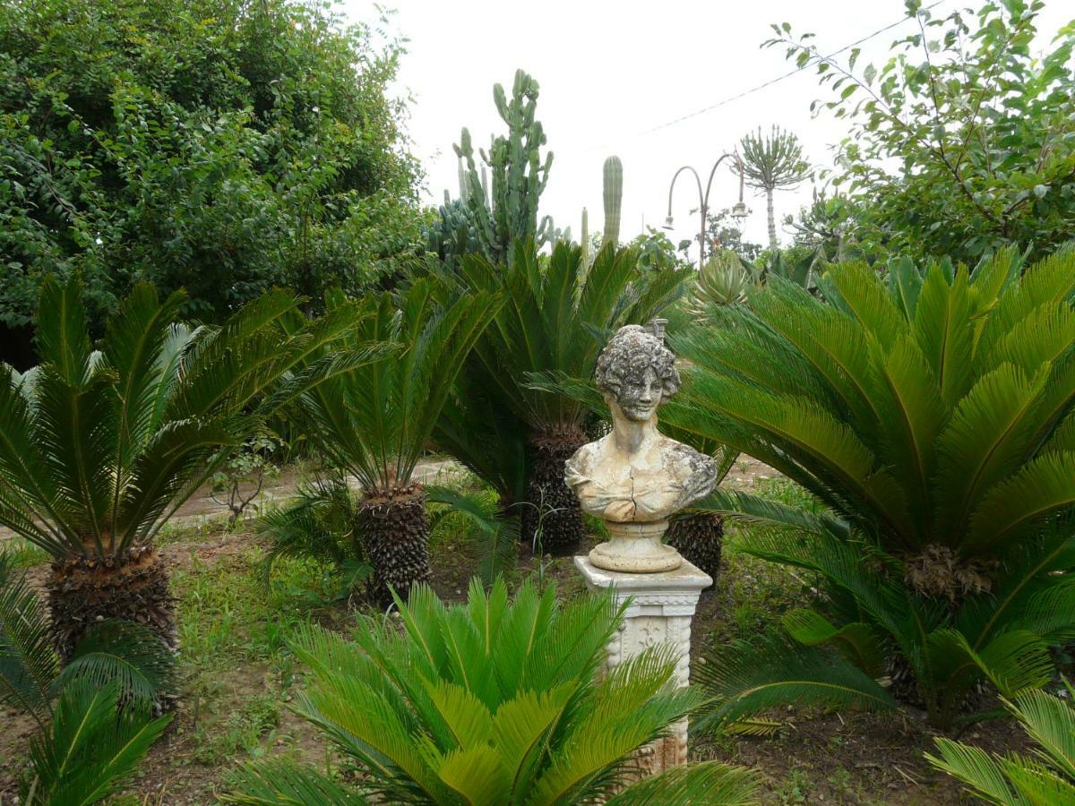 Villa Yucca 阿沃拉 外观 照片