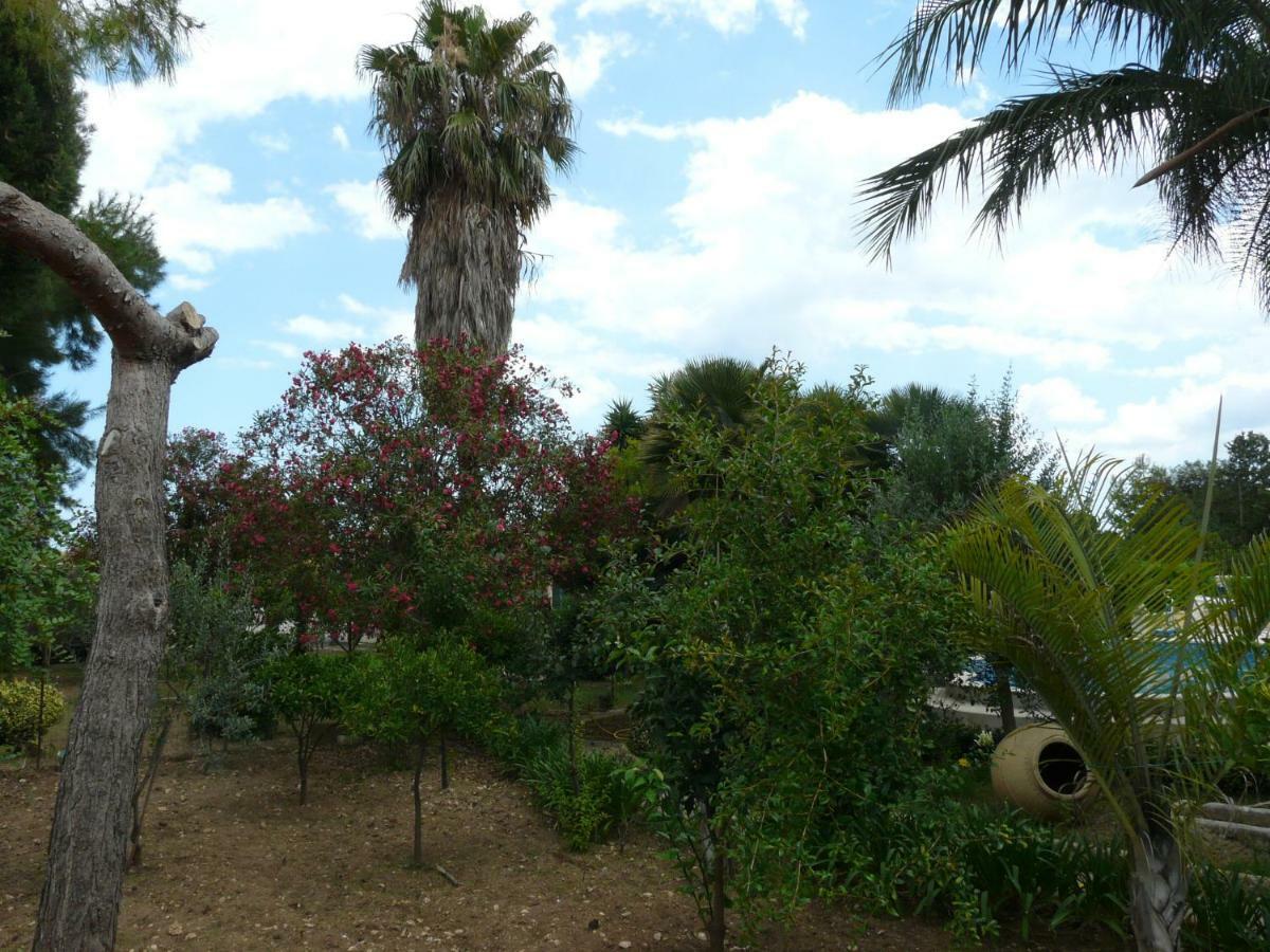 Villa Yucca 阿沃拉 外观 照片