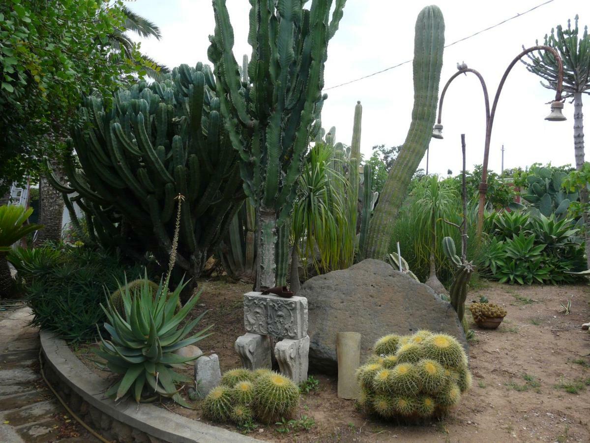 Villa Yucca 阿沃拉 外观 照片